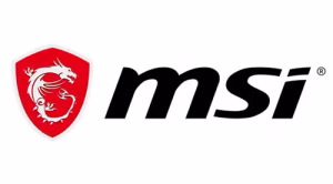 MSI